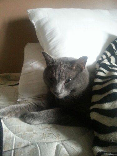 20130331_164536.jpg image