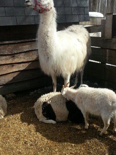 20130323_143331.jpg image