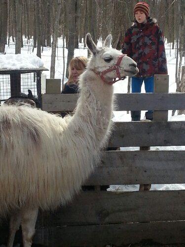 20130323_142811.jpg image