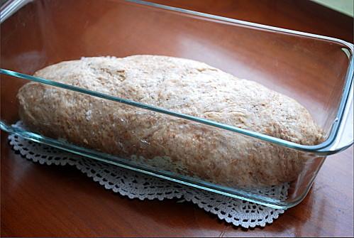 Pain à l'orge (khobz zra3 ) pain-a-l-orge1.jpg