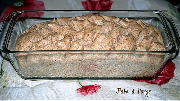 Pain à l'orge (khobz zra3 ) pain à l'orge