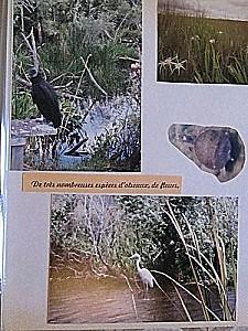 La Floride - Kay West Kay-West 0336