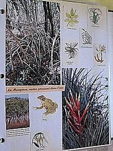 La Floride - Kay West Kay-West 0335