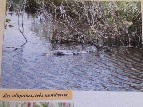 La Floride - Kay West Kay-West 0332