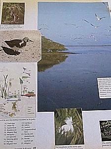 La Floride - Kay West Kay-West 0340