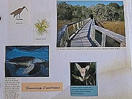 La Floride - Kay West Kay-West 0337