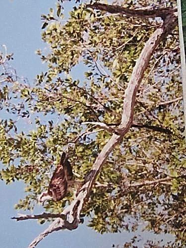 La Floride - Kay West Kay-West 0342