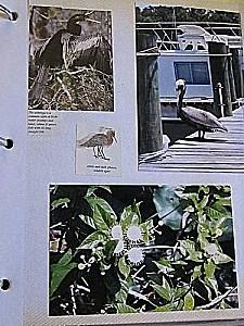 La Floride - Kay West Kay-West 0339