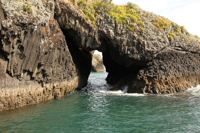 Jour 4 : Bay of Island nz1-167