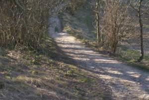 Clignements oculaires, plages et chemins à nouveau Chemin...
