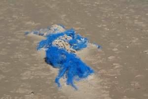 Clignements oculaires, plages et chemins à nouveau plage