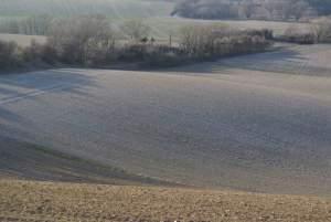 Clignements oculaires, plages et chemins à nouveau chemin...