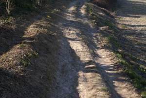 Clignements oculaires, plages et chemins à nouveau chemin