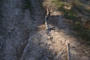 Clignements oculaires, plages et chemins à nouveau chemin...