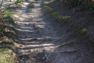 Clignements oculaires, plages et chemins à nouveau chemin...