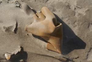 Clignements oculaires, plages et chemins à nouveau plage...