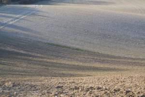 Clignements oculaires, plages et chemins à nouveau champs crayeux...