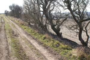Clignements oculaires, plages et chemins à nouveau Chemin