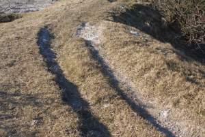 Clignements oculaires, plages et chemins à nouveau SONY DSC