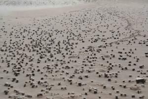 Clignements oculaires, plages et chemins à nouveau plage