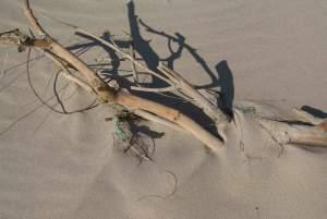 Clignements oculaires, plages et chemins à nouveau plage