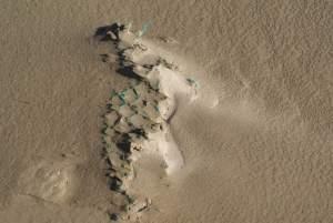 Clignements oculaires, plages et chemins à nouveau plage....