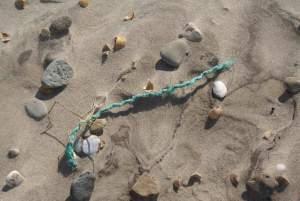 Clignements oculaires, plages et chemins à nouveau plage