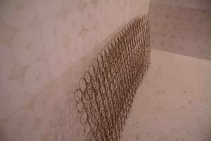 Clignements oculaires, plages et chemins à nouveau Bruant...