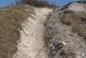 Clignements oculaires, plages et chemins à nouveau chemin...