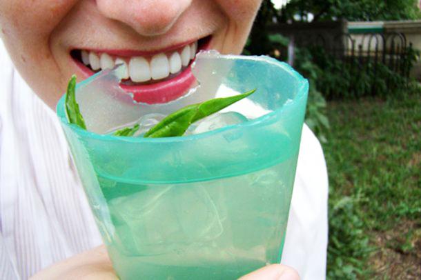 Wikibar : dégustez vos cocktails dans des verres comestibles wikibar