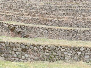 Voyage au Pérou: En route vers Ollantaytambo