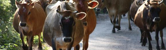 Le 1er mai, et si on sortait ? Le 1er mai, et si on sortait ?