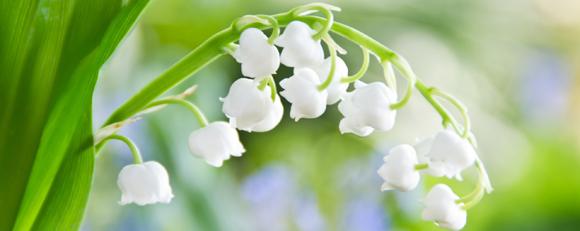 Le 1er mai, et si on sortait ? Le 1er mai, et si on sortait ?