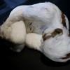Lucy Glendinning | I am not LucyGlendinning_DaEnd_13