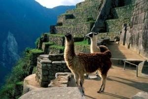 Montagne verdoyantes du Pérou