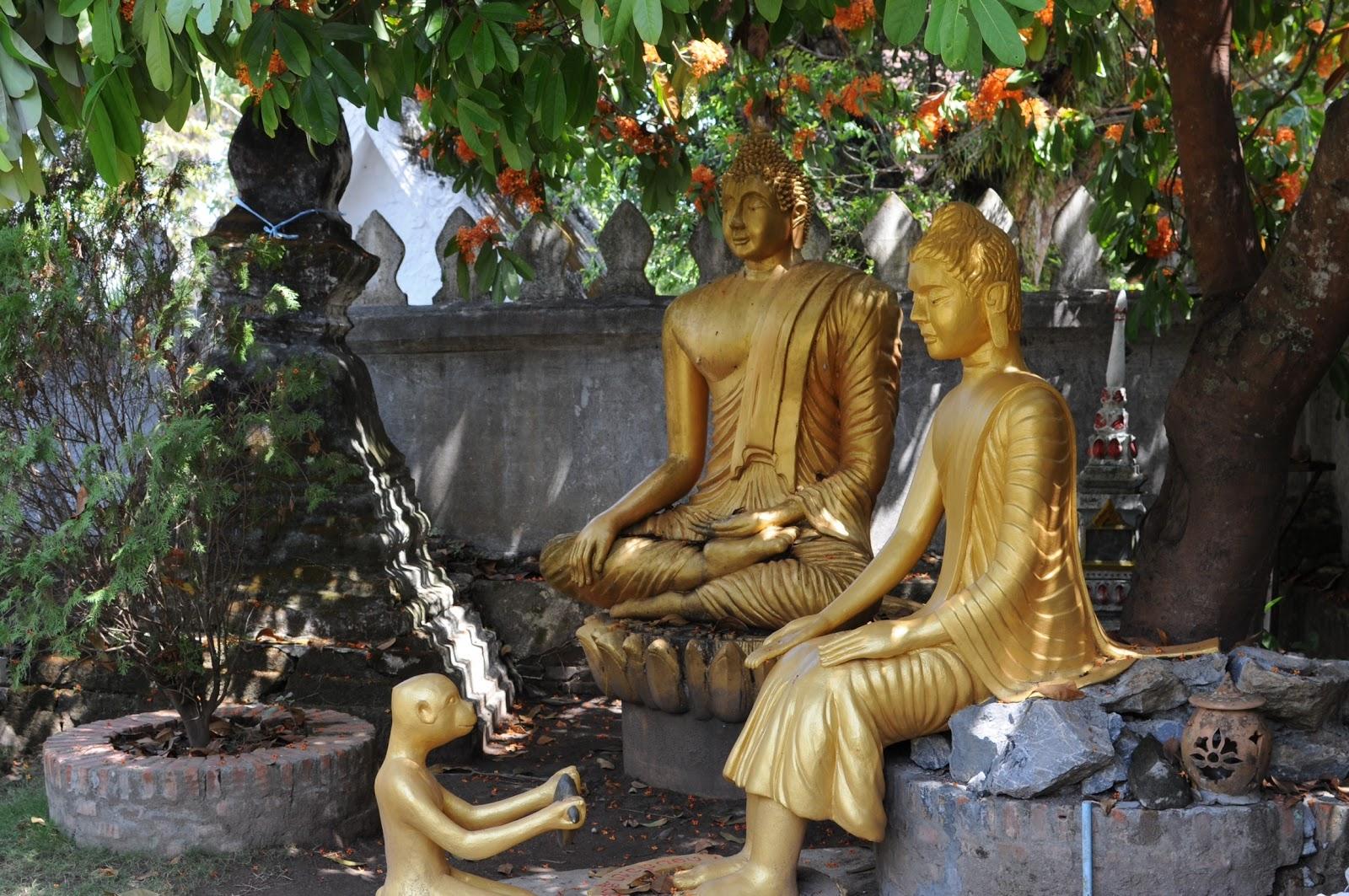 Luang Prabang prise II (jour 16) Luang Prabang prise II (jour 16)