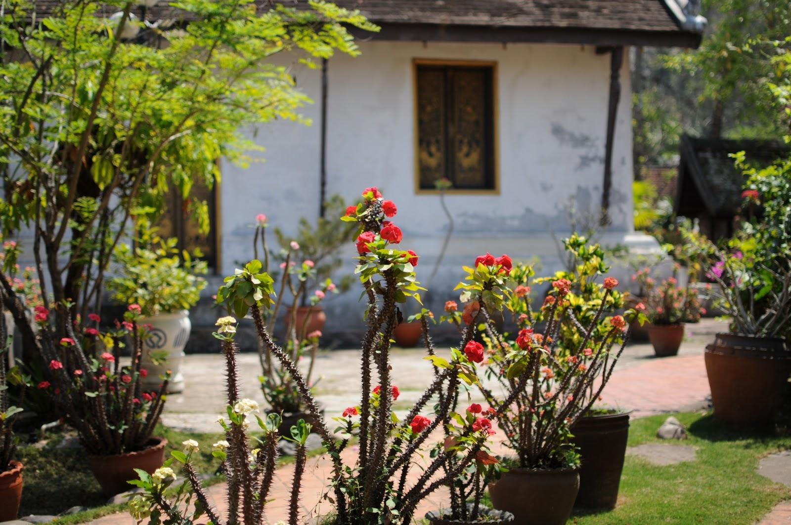 Luang Prabang prise II (jour 16) Luang Prabang prise II (jour 16)