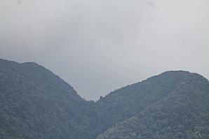 Sortie avec Evasion tropicale à Bouillante Guadeloupe baleine-0375.JPG