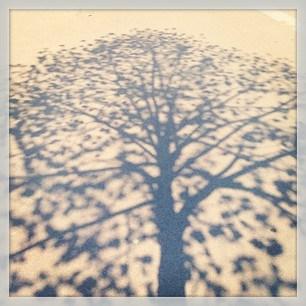 C’était un dimanche de douceur et de soleil 805c9d5e9f9411e28c3122000aa80097_6