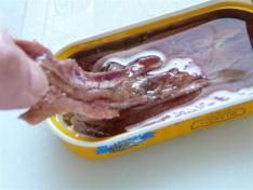 EMINCE DE FENOUIL A LA NICOISE P1160705 (Medium)