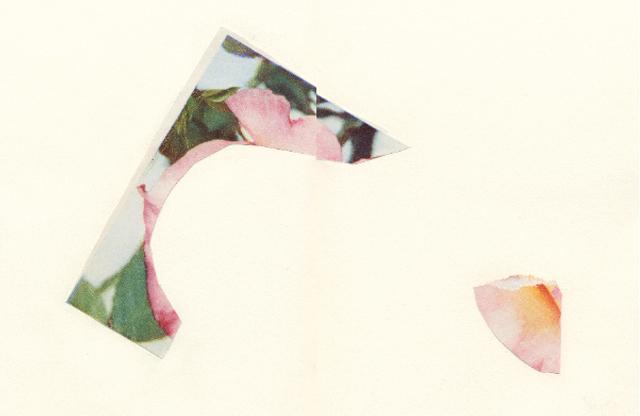 collage rosemarie auberson