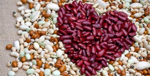 Des fibres pour votre coeur real-fibre_thumb.jpg