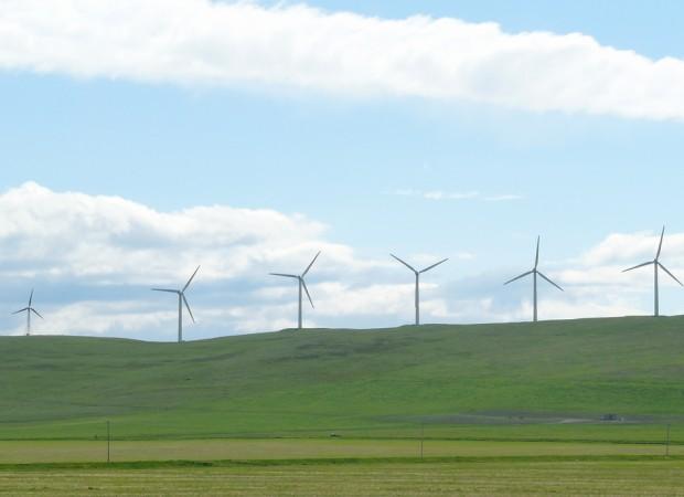 éoliennes_Alberta_photopaige-eliz