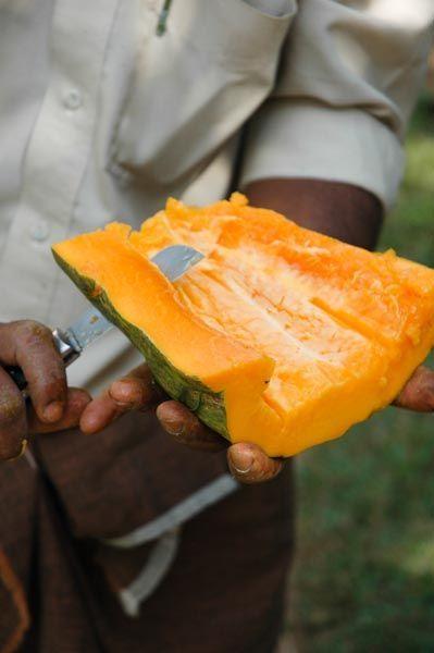Papaye_Fruit_India_Kerala_Wayanad_Beendhi