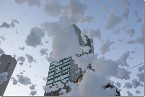 Invasion de mousse à Miami