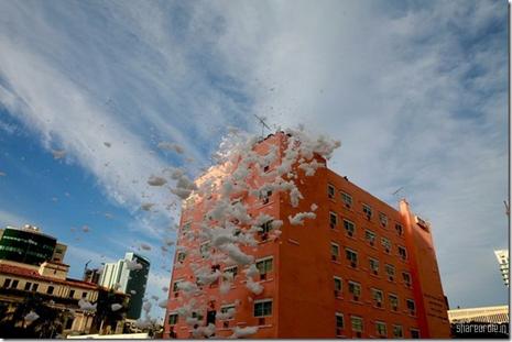 Invasion de mousse à Miami