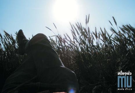 Intrepida Mu: mode éthique hibérique