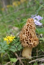 Un retour à la Nature Bon appétit!