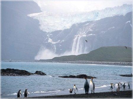 Antarctique