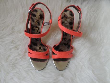 L'ami Sam DSCN0205.JPG